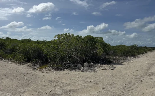 Ambergris Caye Affordable Lots