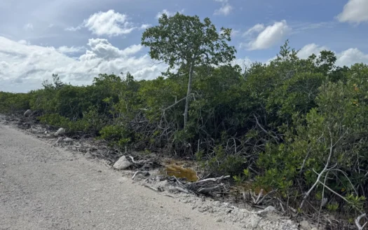 Ambergris Caye Affordable Lots