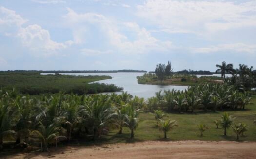 Marina Village Luxury Property in Belize