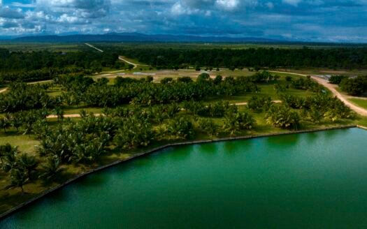 Marina Village South Belize Hopkins