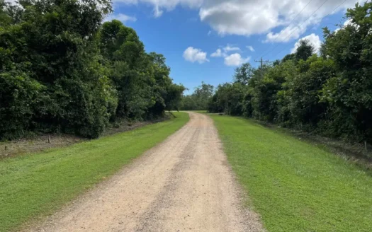 Equestrian Center Acreage Property