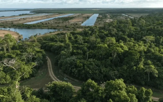 Sapodilla Ridge Lots Half-Acre