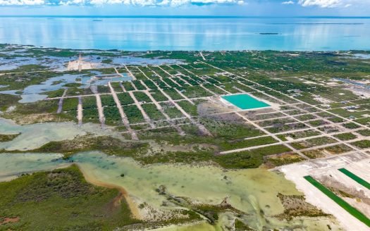 Ambergris Caye Land For Sale – Secret Beach