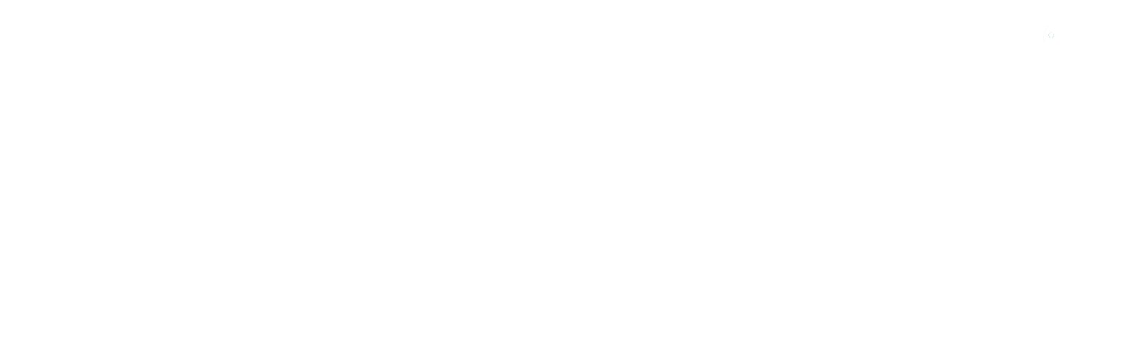 Belize Realty Advisors logo on a black background with a white toucan perched on the right side of the wordmark.